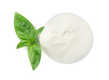 Delicious burrata cheese and basil isolated on white, top view