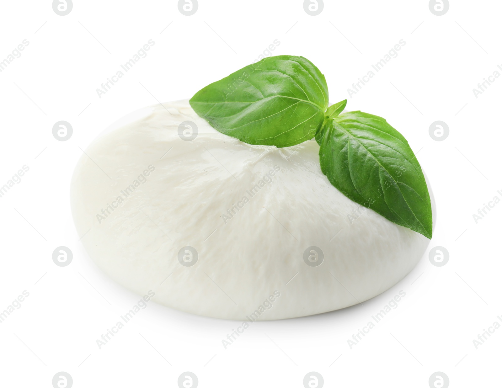 Photo of Delicious burrata cheese and basil isolated on white