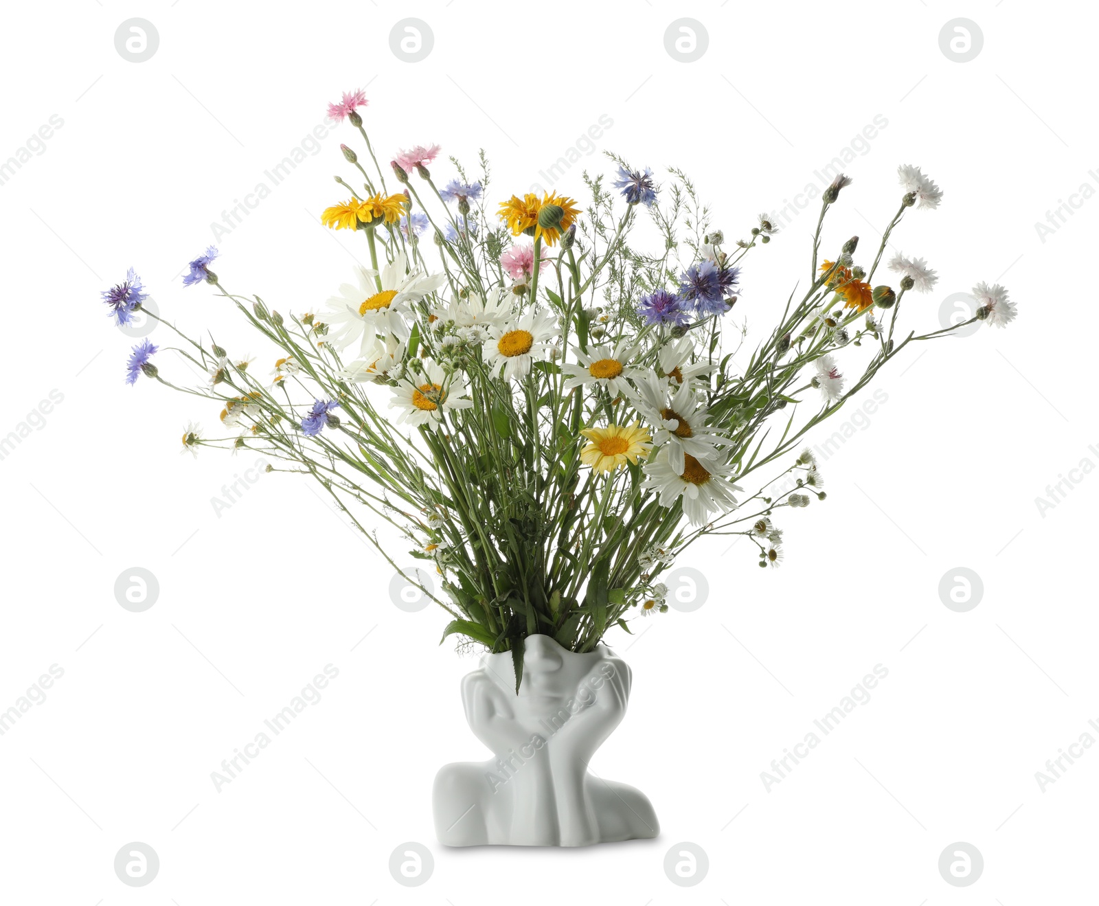 Photo of Bouquet of beautiful wildflowers in decorative vase on white background