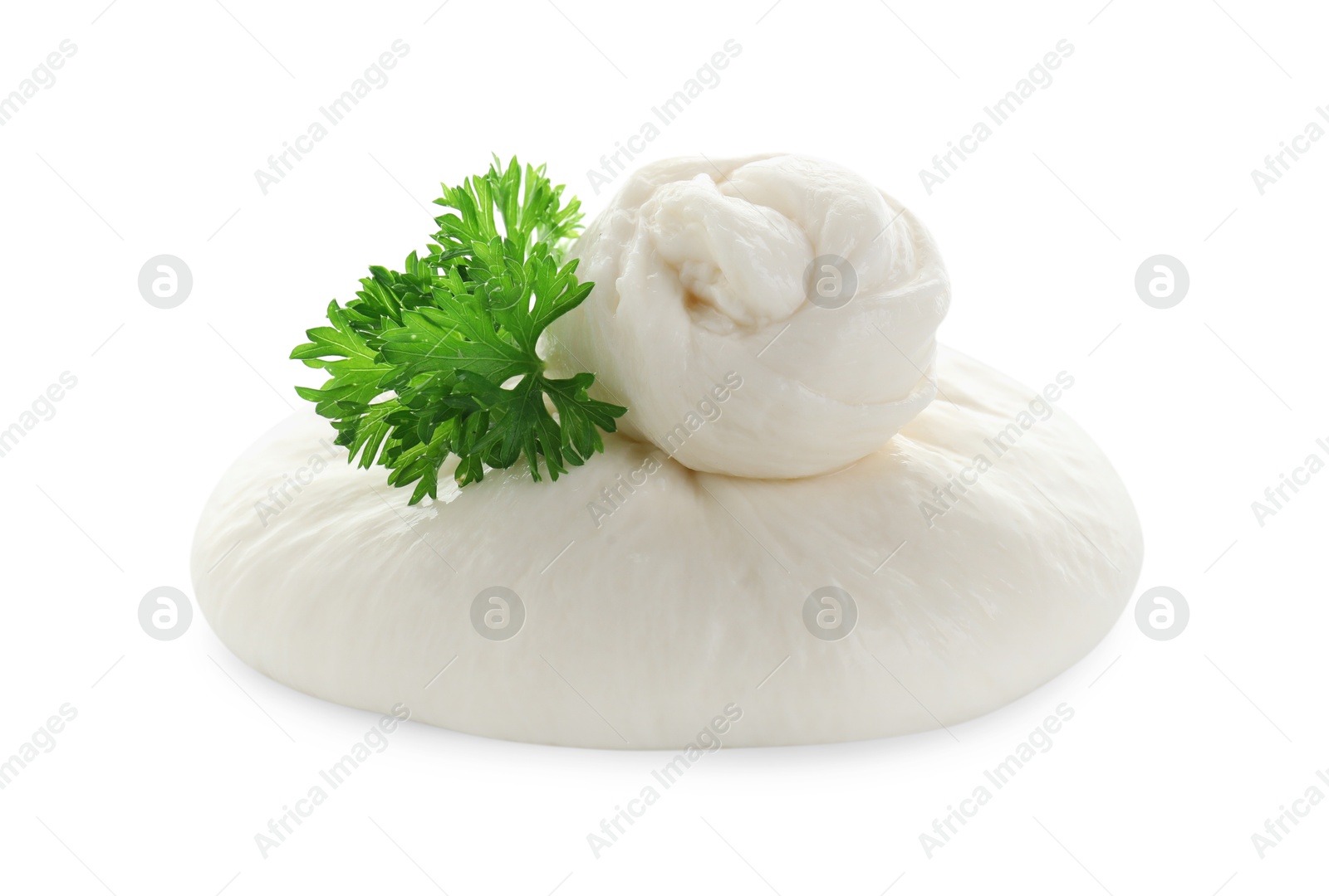 Photo of Fresh burrata cheese and coriander isolated on white