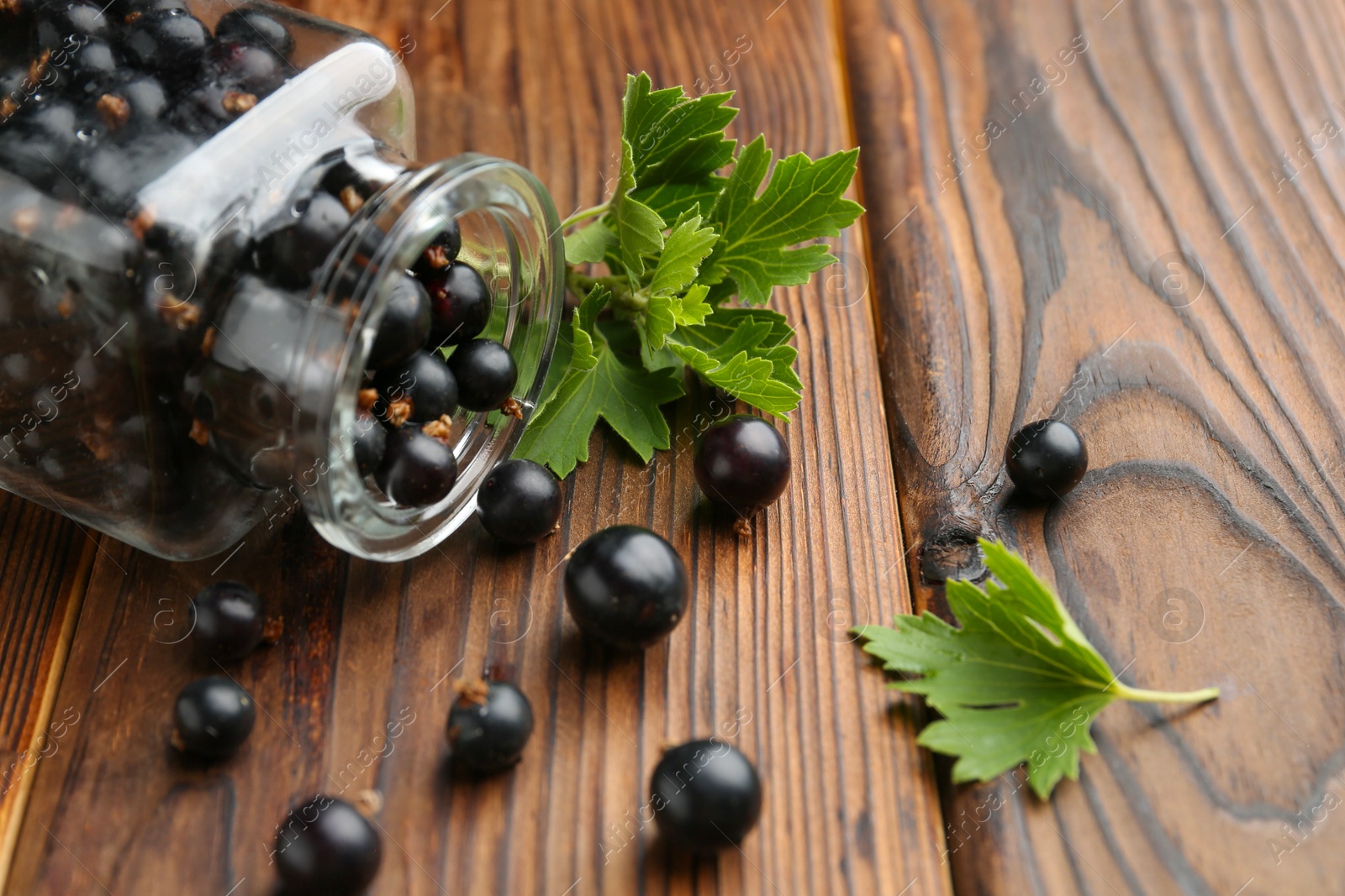 Photo of Ripe black currants and leaves in jar on wooden table, closeup. Space for text