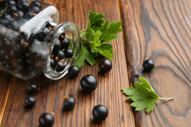 Photo of Ripe black currants and leaves in jar on wooden table, closeup. Space for text