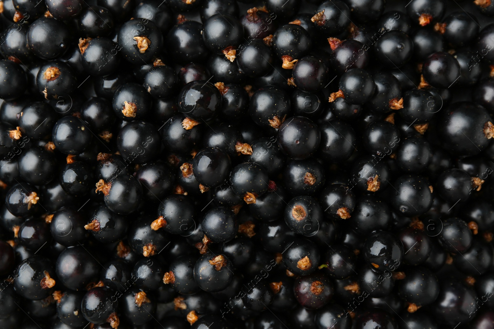 Photo of Ripe black currants as background, top view