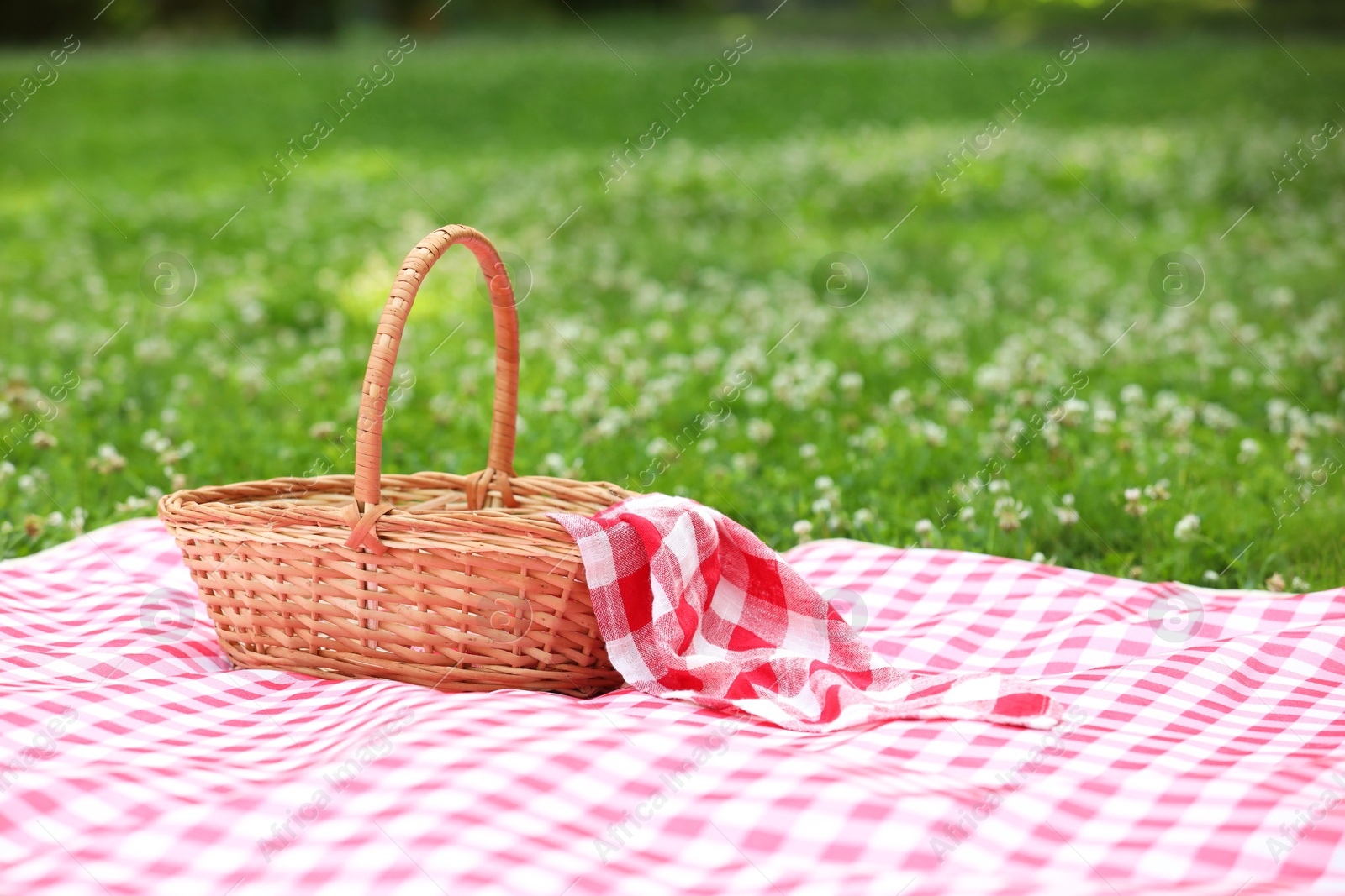 Photo of One picnic wicker basket with checkered napkin and blanket on green grass. Space for text