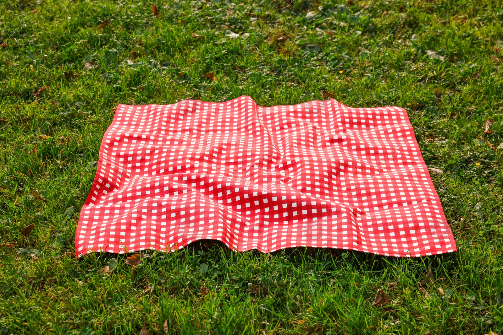One checkered picnic tablecloth on green grass Photo of One checkered picnic tablecloth on green grass