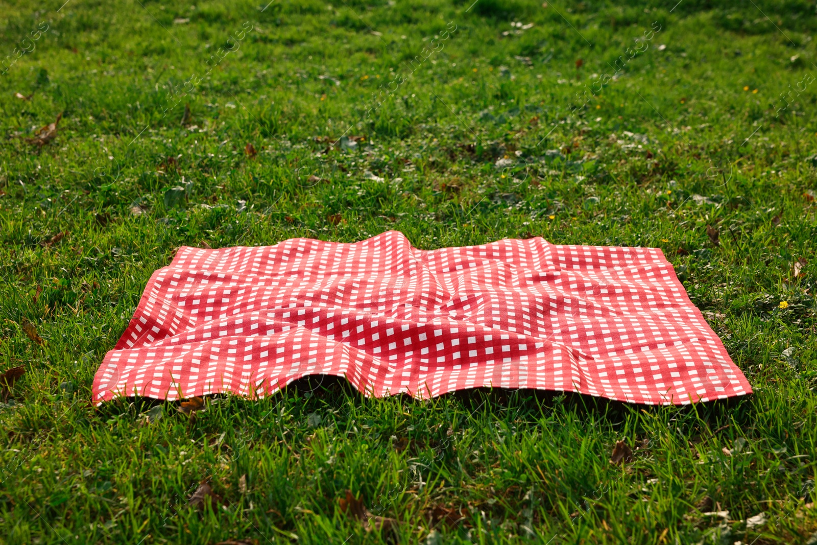 One checkered picnic tablecloth on green grass Photo of One checkered picnic tablecloth on green grass