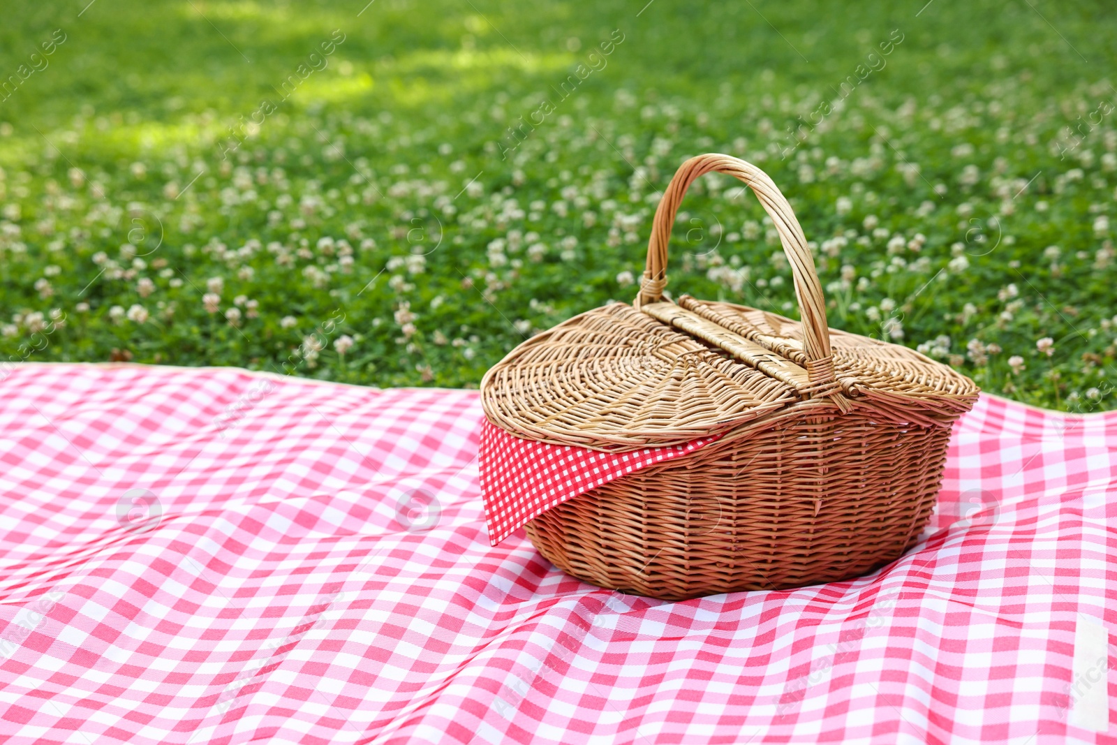 Photo of One picnic wicker basket with checkered napkin and blanket on green grass. Space for text