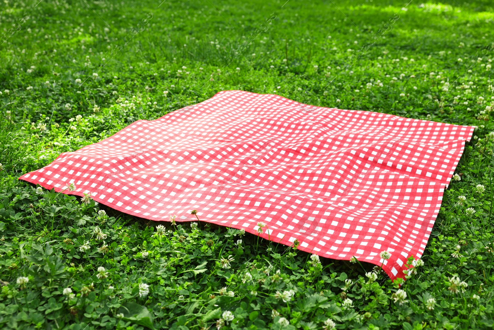 Photo of One checkered picnic tablecloth on green grass