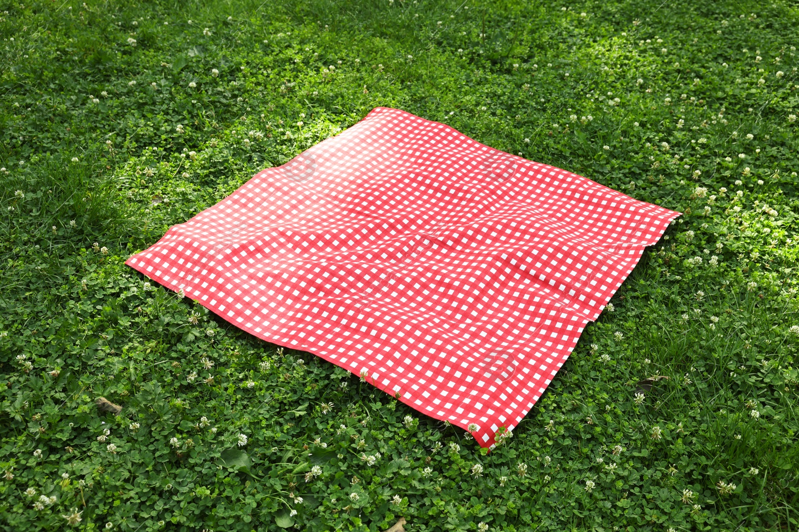 One checkered picnic tablecloth on green grass Photo of One checkered picnic tablecloth on green grass