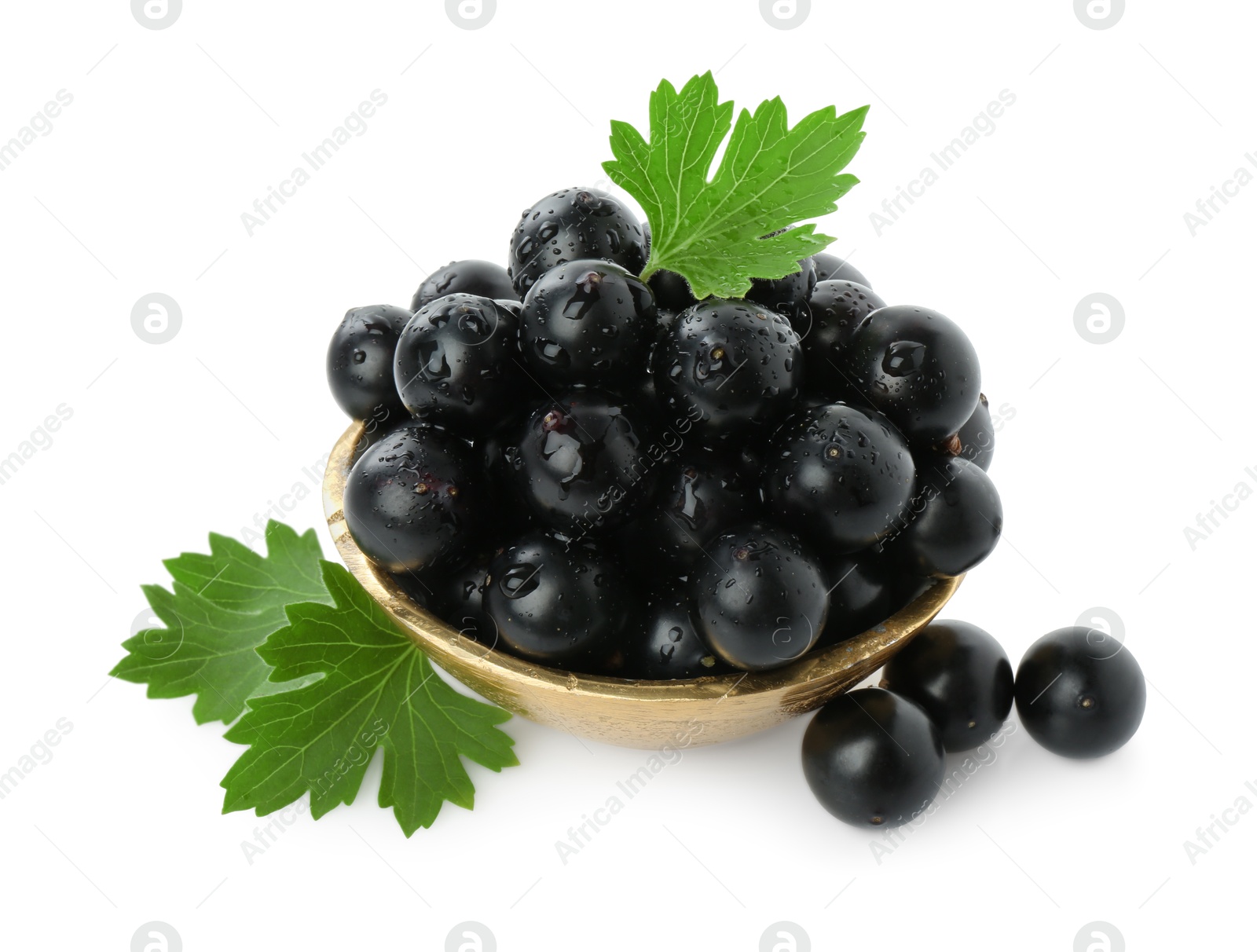 Photo of Fresh ripe black currant berries with leaves isolated on white