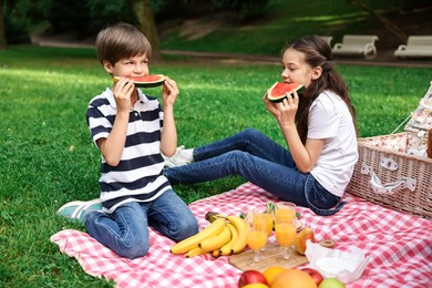 Family picnic. Brother and sister eating watermelon on green grass outdoors