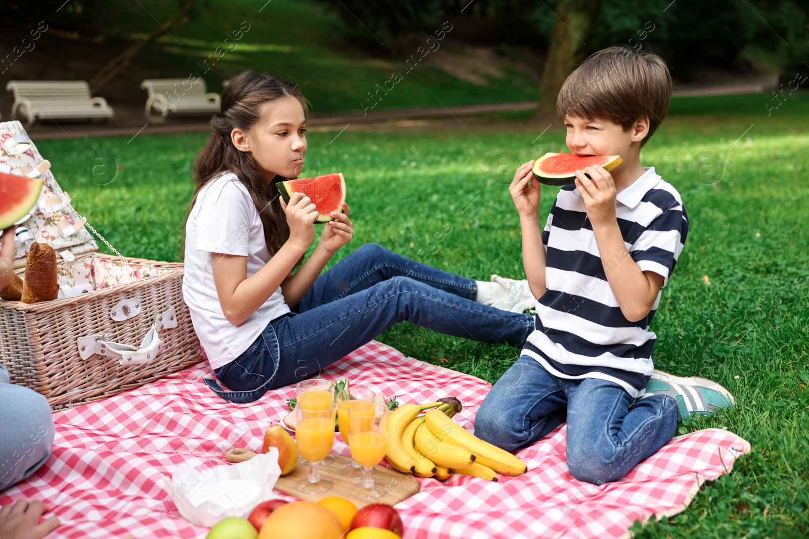 Photo of Family picnic. Brother and sister eating watermelon on green grass outdoors