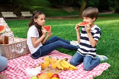 Family picnic. Brother and sister eating watermelon on green grass outdoors