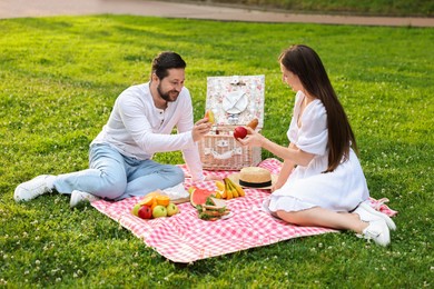 Photo of Happy couple having picnic on green grass outdoors