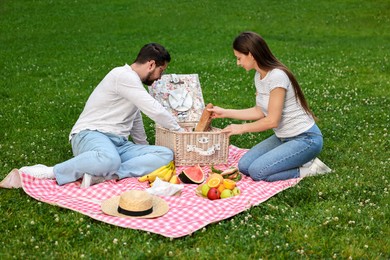 Lovely couple having picnic on green grass outdoors