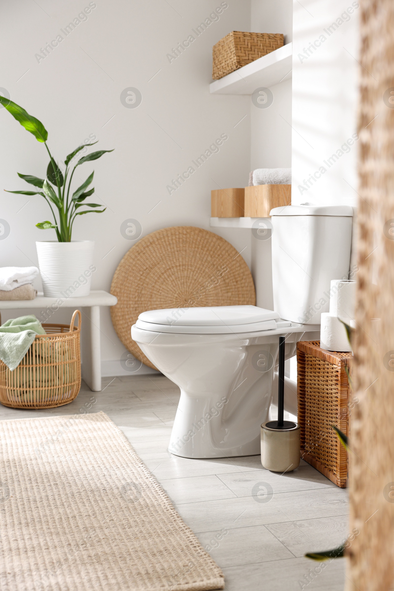 Photo of White toilet bowl and houseplant in bathroom