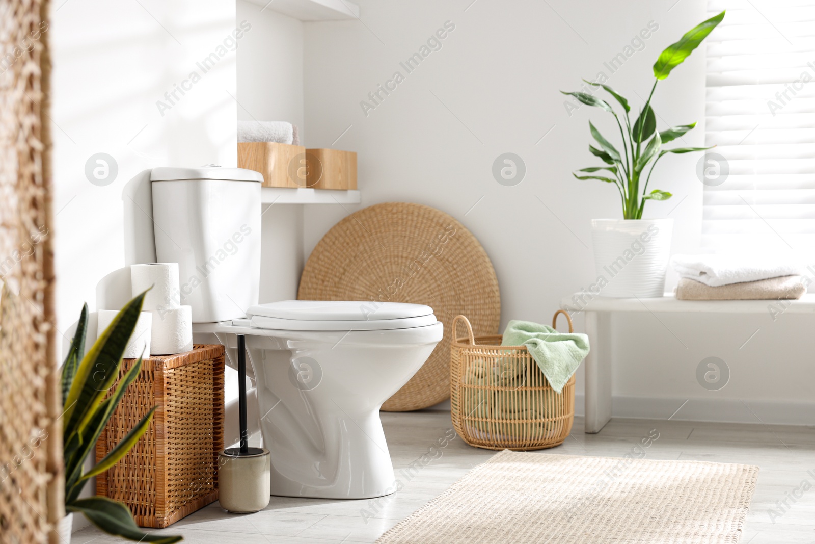 Photo of White toilet bowl, paper rolls and houseplants in bathroom