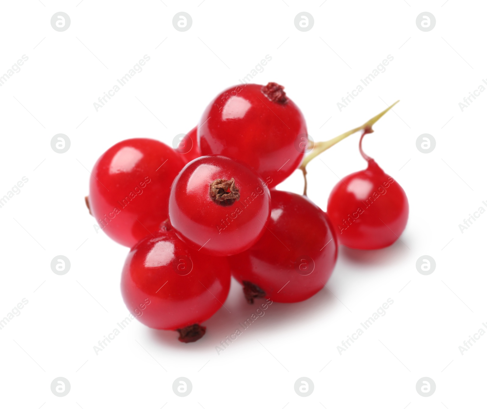 Photo of Fresh ripe red currant berries isolated on white