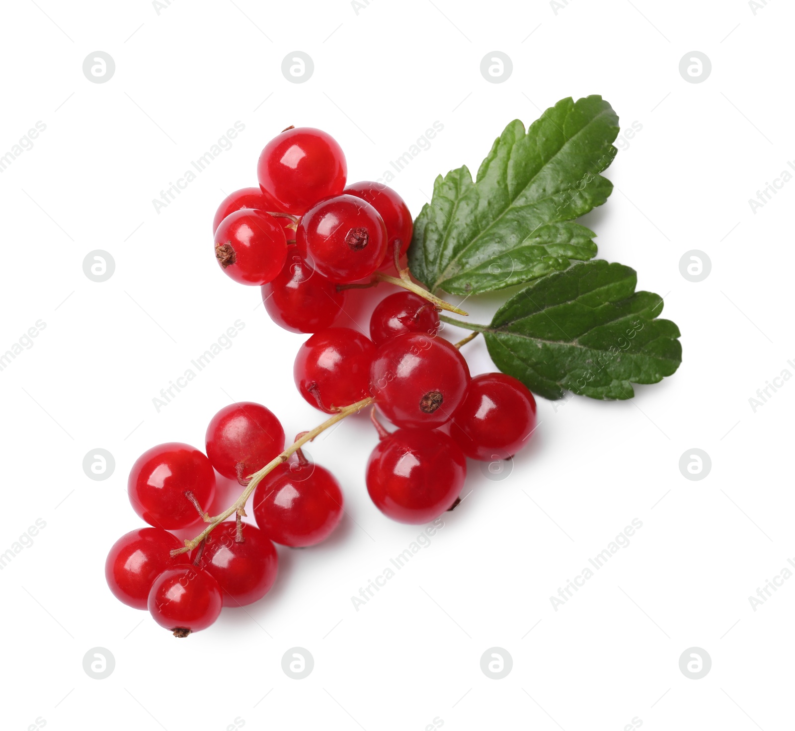 Photo of Fresh ripe red currant berries with green leaves isolated on white, top view