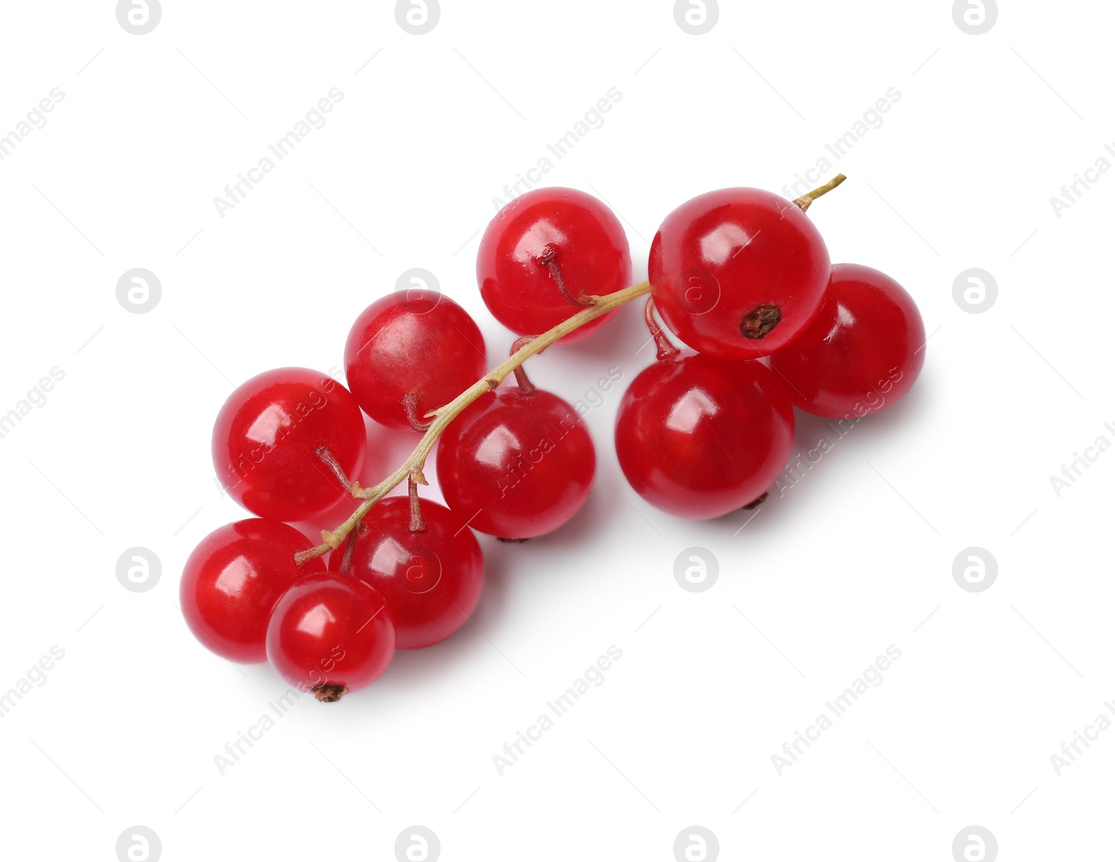 Photo of Fresh ripe red currant berries isolated on white