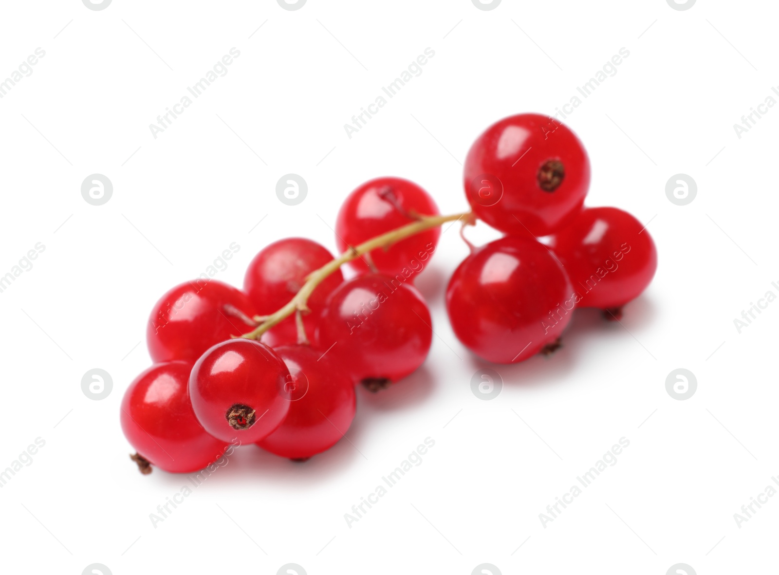 Photo of Fresh ripe red currant berries isolated on white