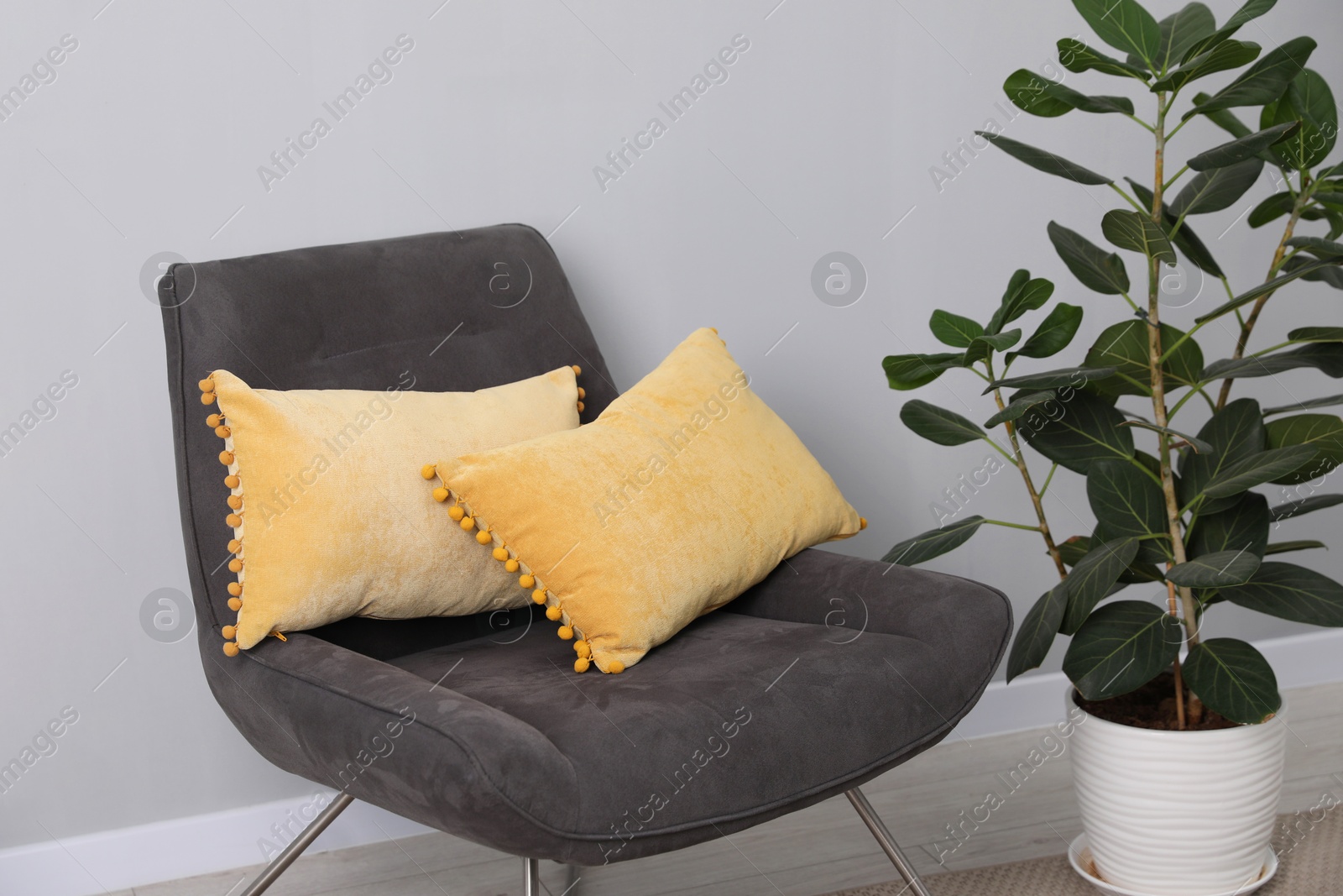 Photo of Soft pillows on armchair near houseplant indoors