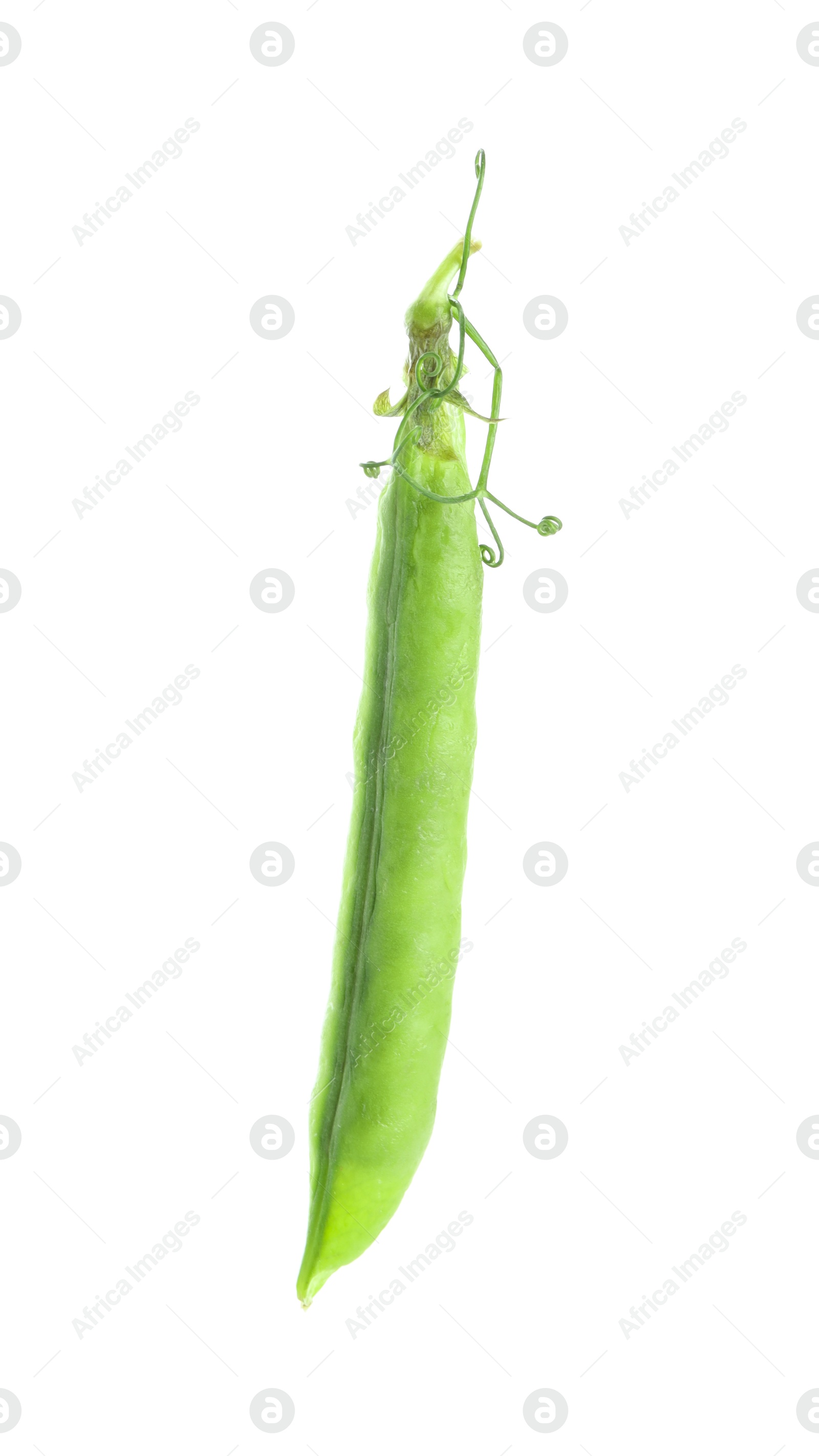 Photo of One green fresh pea pod isolated on white