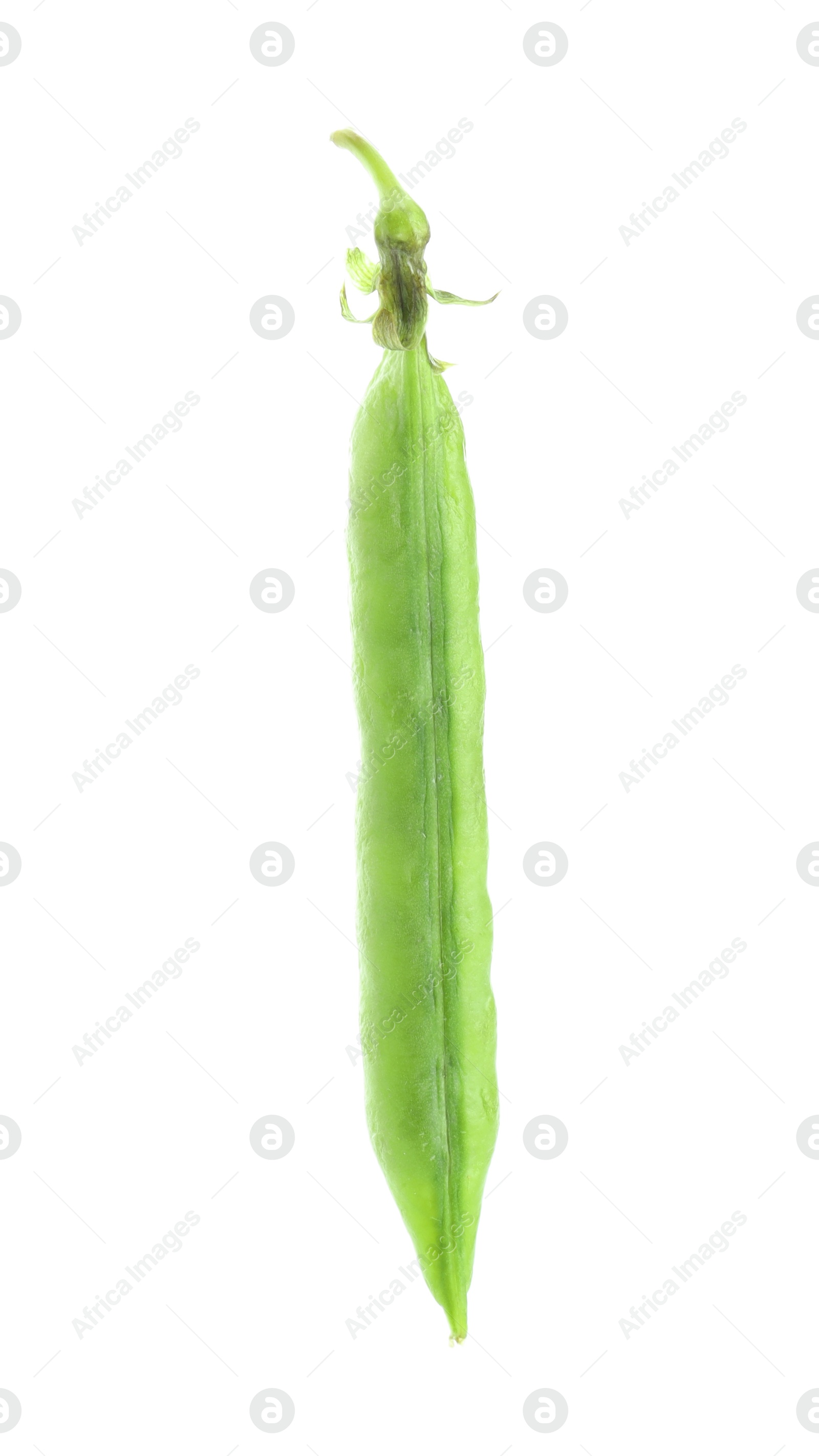 Photo of One green fresh pea pod isolated on white