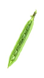 One green fresh pea pod isolated on white