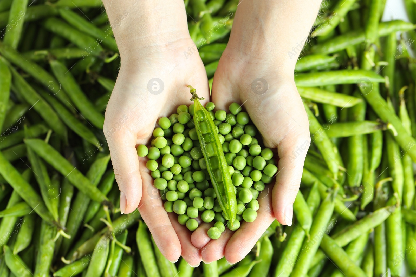 Photo of Woman holding fresh green peas near pods, top view