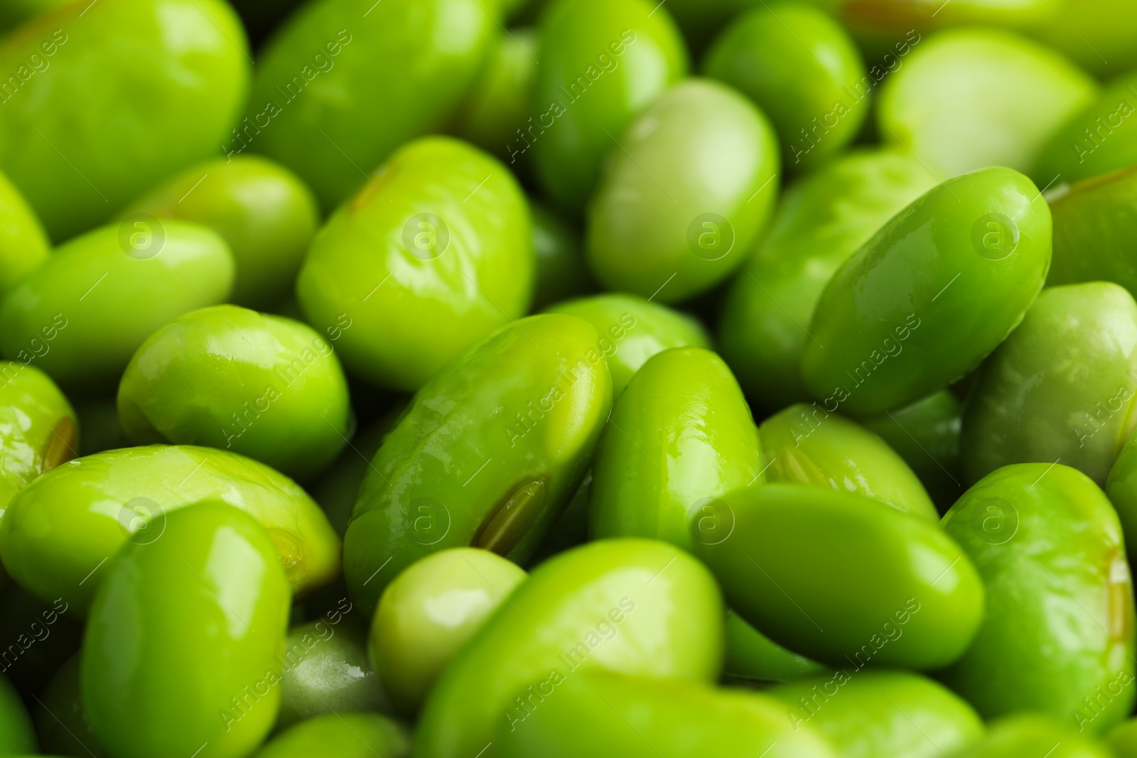 Photo of Fresh edamame soybeans as background, closeup view