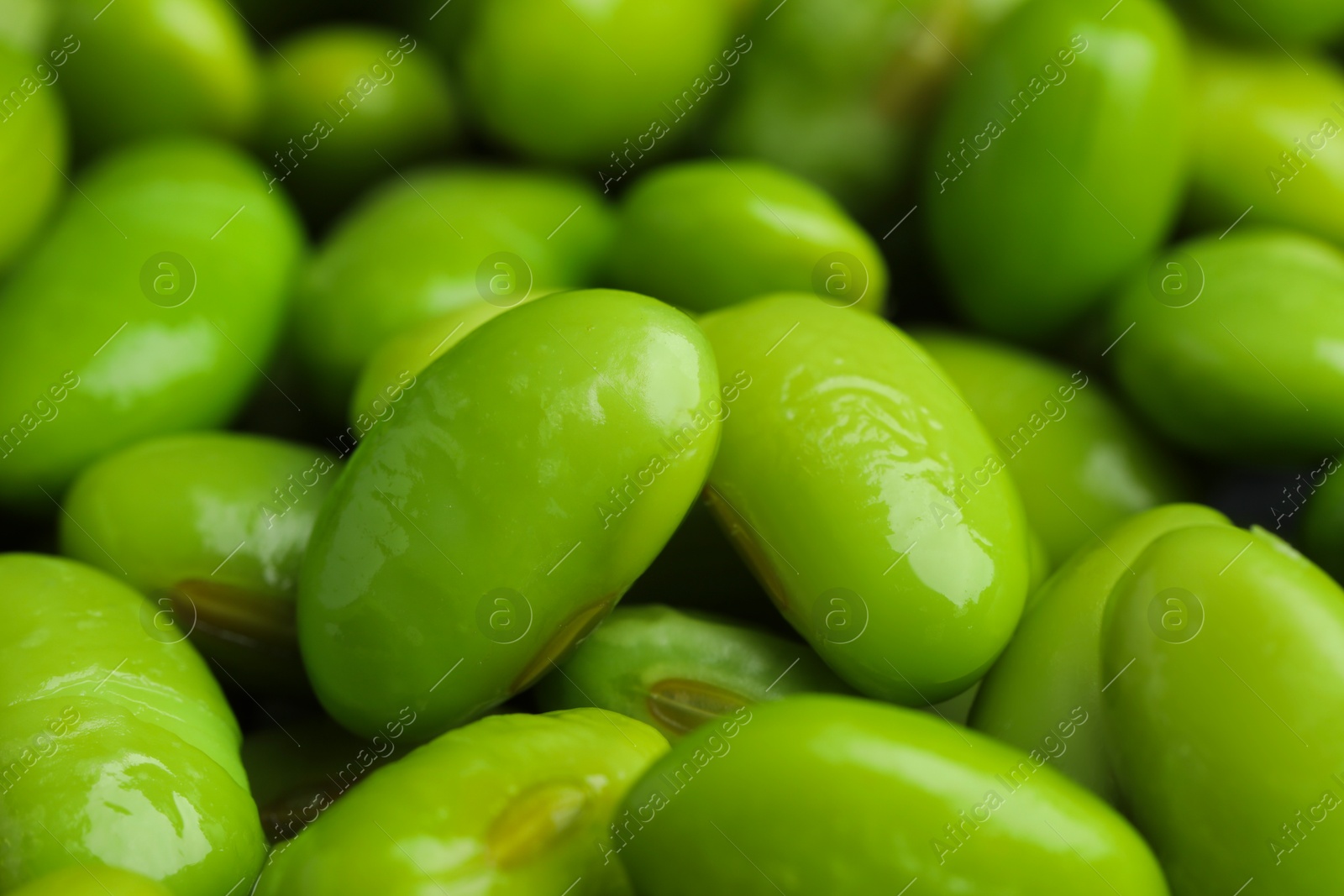 Photo of Fresh edamame soybeans as background, closeup view