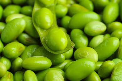 Photo of Fresh edamame pod on soybeans, closeup view