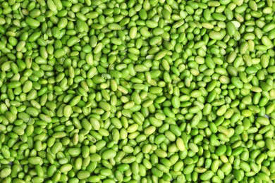 Photo of Fresh edamame beans as background, top view