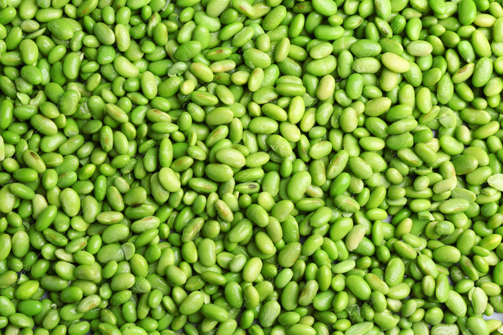 Photo of Fresh edamame beans as background, top view