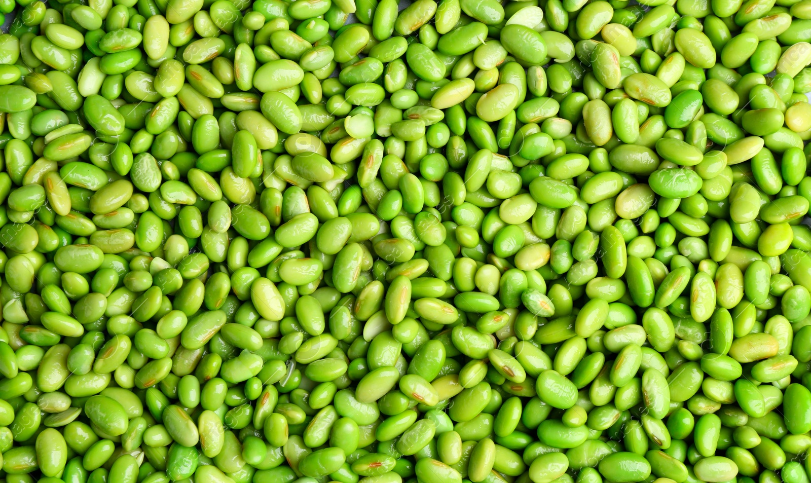 Photo of Fresh edamame beans as background, top view