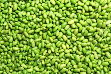 Photo of Fresh edamame beans as background, top view