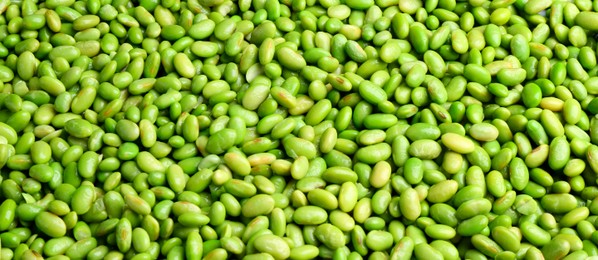 Photo of Fresh edamame beans as background, above view