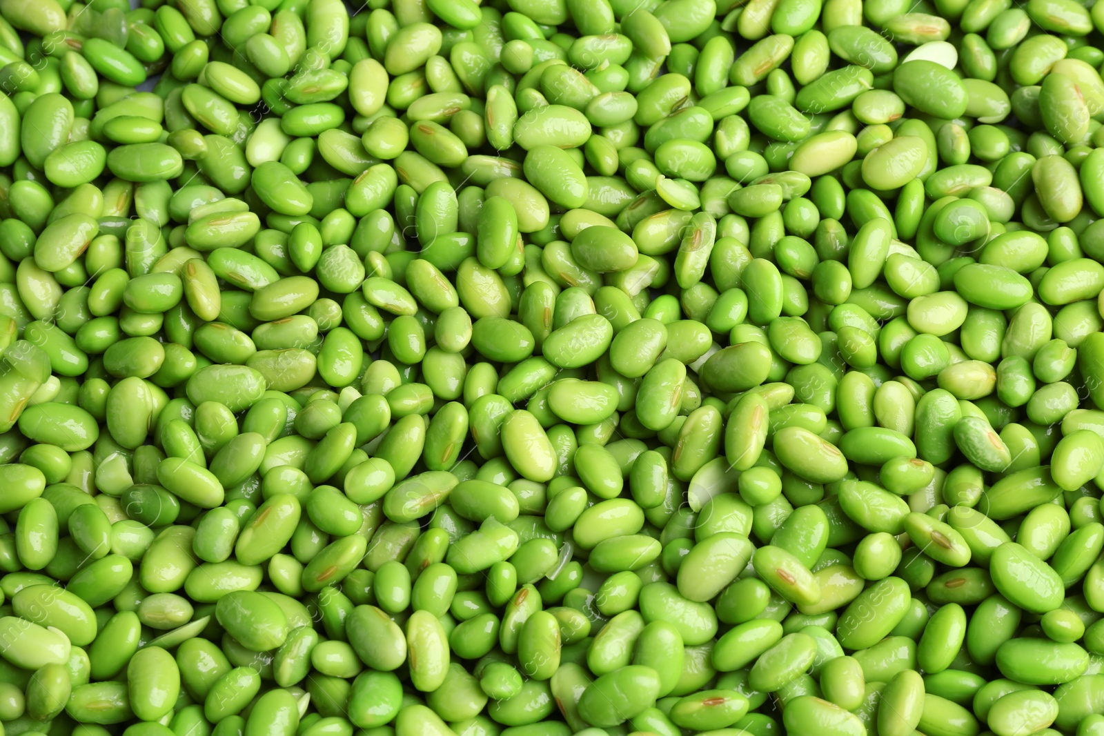 Photo of Fresh edamame beans as background, above view