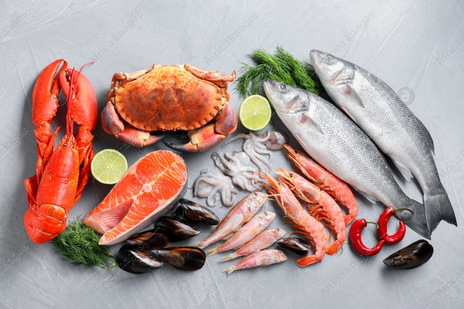 Photo of Many different sea food on grey textured table, flat lay