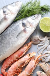 Many different sea food, lime and dill on grey table, flat lay