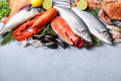 Photo of Many different sea food on grey textured table, flat lay. Space for text