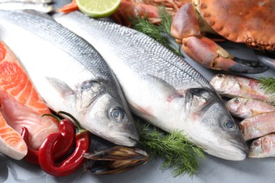 Photo of Many different sea food, chili pepper and dill on grey table, closeup