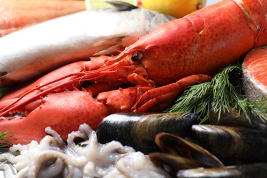 Photo of Many different sea food and dill on table, closeup