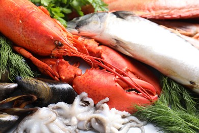 Photo of Many different sea food and dill on table, closeup