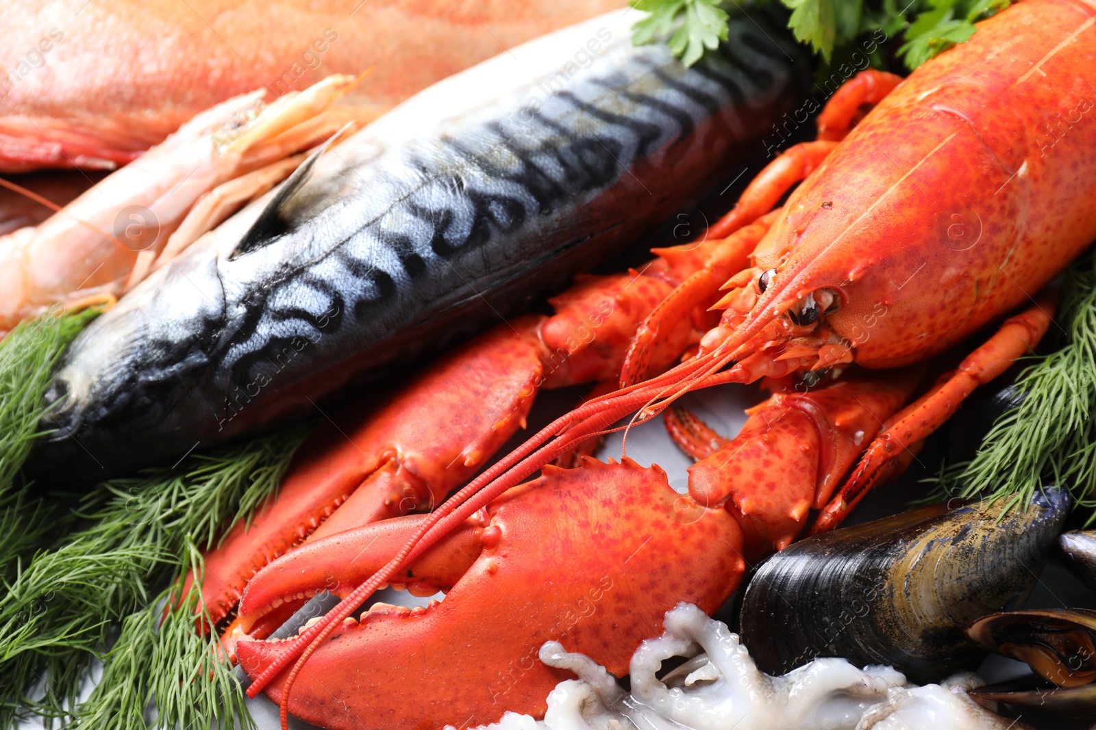 Photo of Many different sea food and dill on table, above view