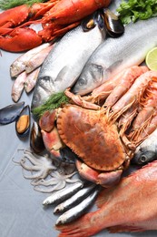 Photo of Many different sea food on grey textured table, flat lay