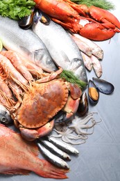 Photo of Many different sea food on grey textured table, flat lay