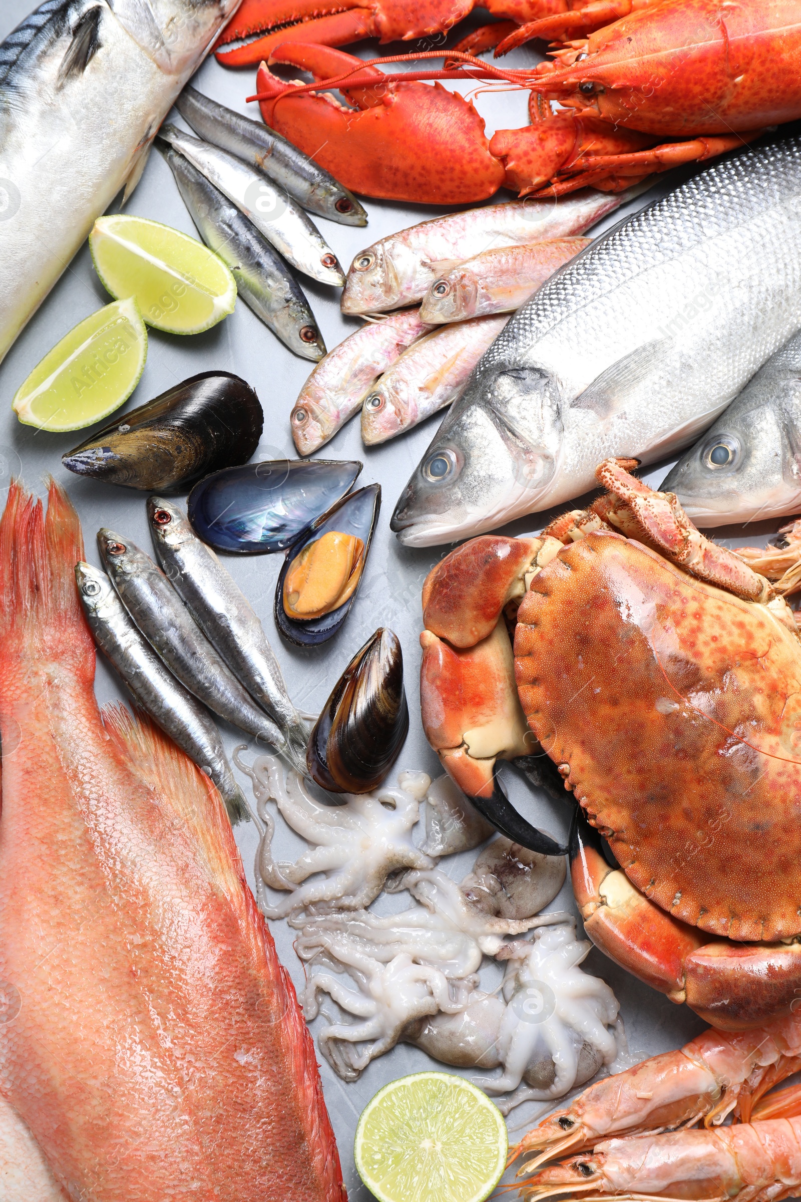 Photo of Many different sea food and lime on grey table, flat lay