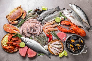 Photo of Many different sea food, herbs and lime on grey textured table, flat lay